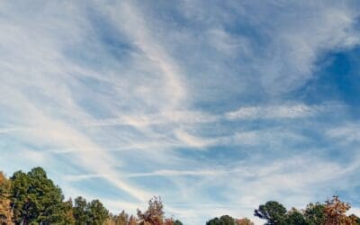 Raleigh NC park by lake used for drinking water