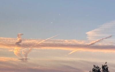 Central Coast California