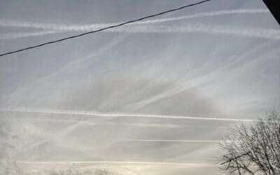 Morning , Evening North Carolina