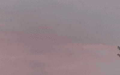 The chemtrails somehow creat the poor weather.