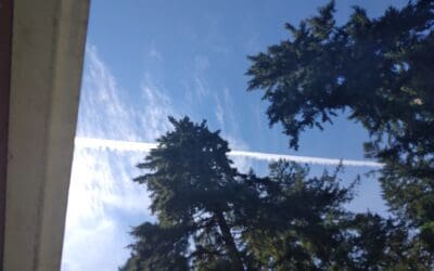 Here again to block our sun