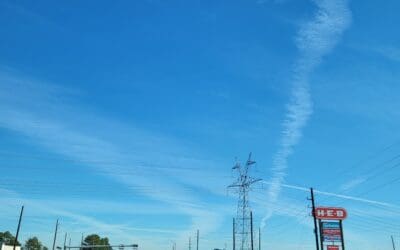 Some days in magnolia