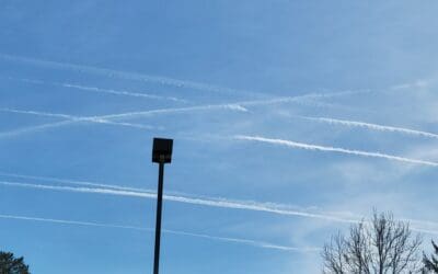 Asheville NC: Spraying us like roaches today