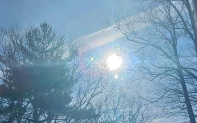 Michigan daily – Crimes against humanity!