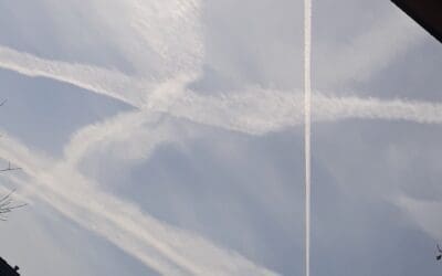 Watching the sky everyday