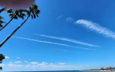 Tampa – Feb. 16, 23