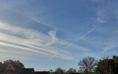 Sunday morning in Sonoma County CA