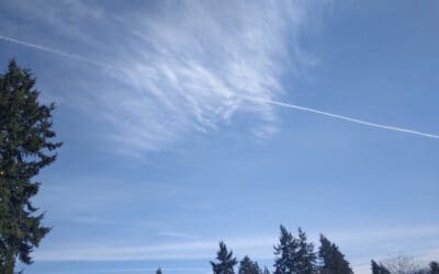 Back to cover the beautiful blue sky