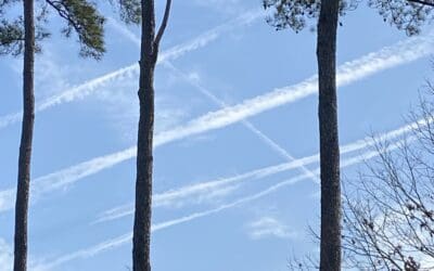 Every day over Raleigh