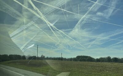 Driving in Florida 2021