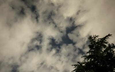 Fall out NY from E Palestine