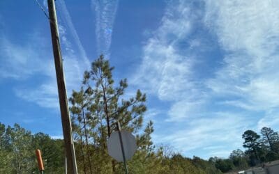 Just a few days ago…..