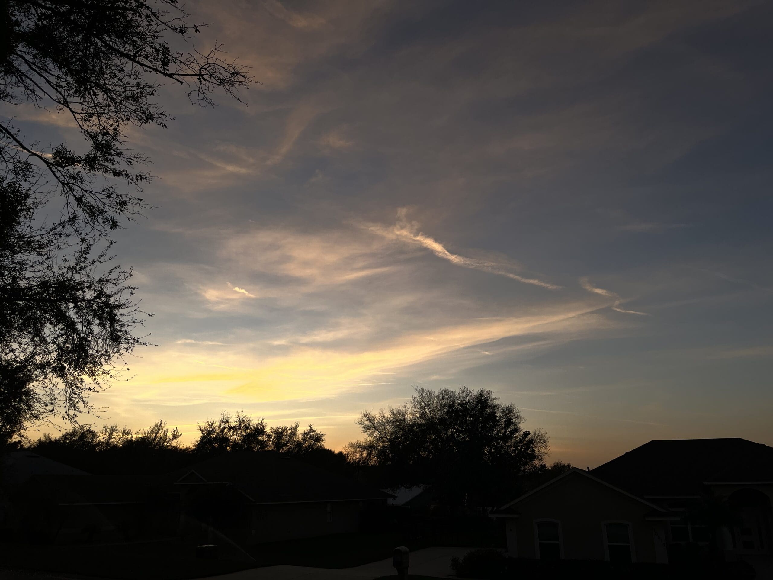 677A35C6-67F8-4C0E-9CE4-0CC3BADE2AAA