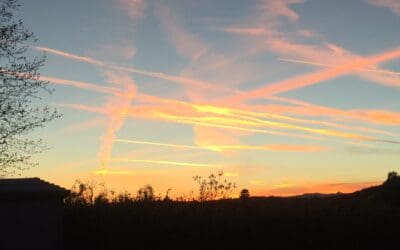 Saugus, CA – March 2017