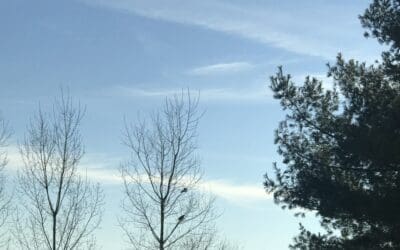 Forecast calls for clear day