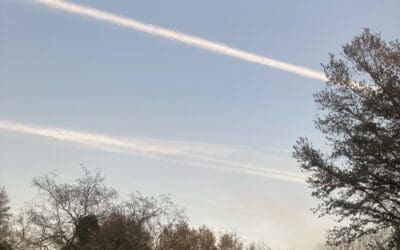 Florida evening trails