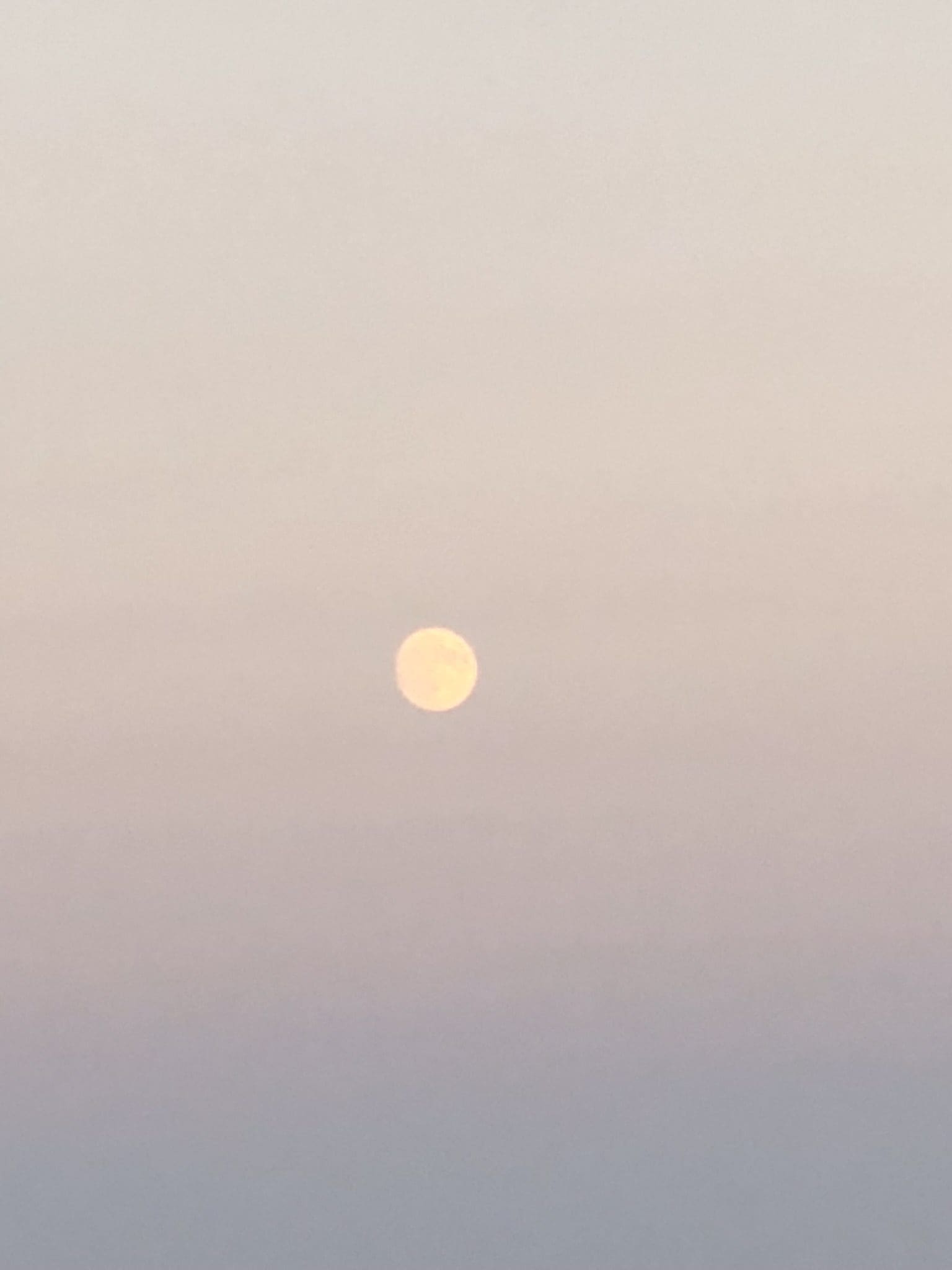 8F11E7F8-3446-4350-9169-16714DCA37ED