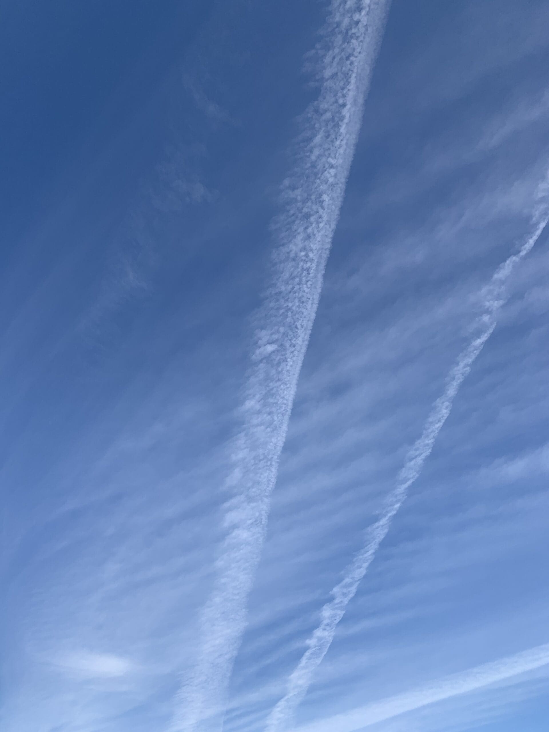 B14F2C2D-8894-47DE-A63D-5F5FA4FF014E