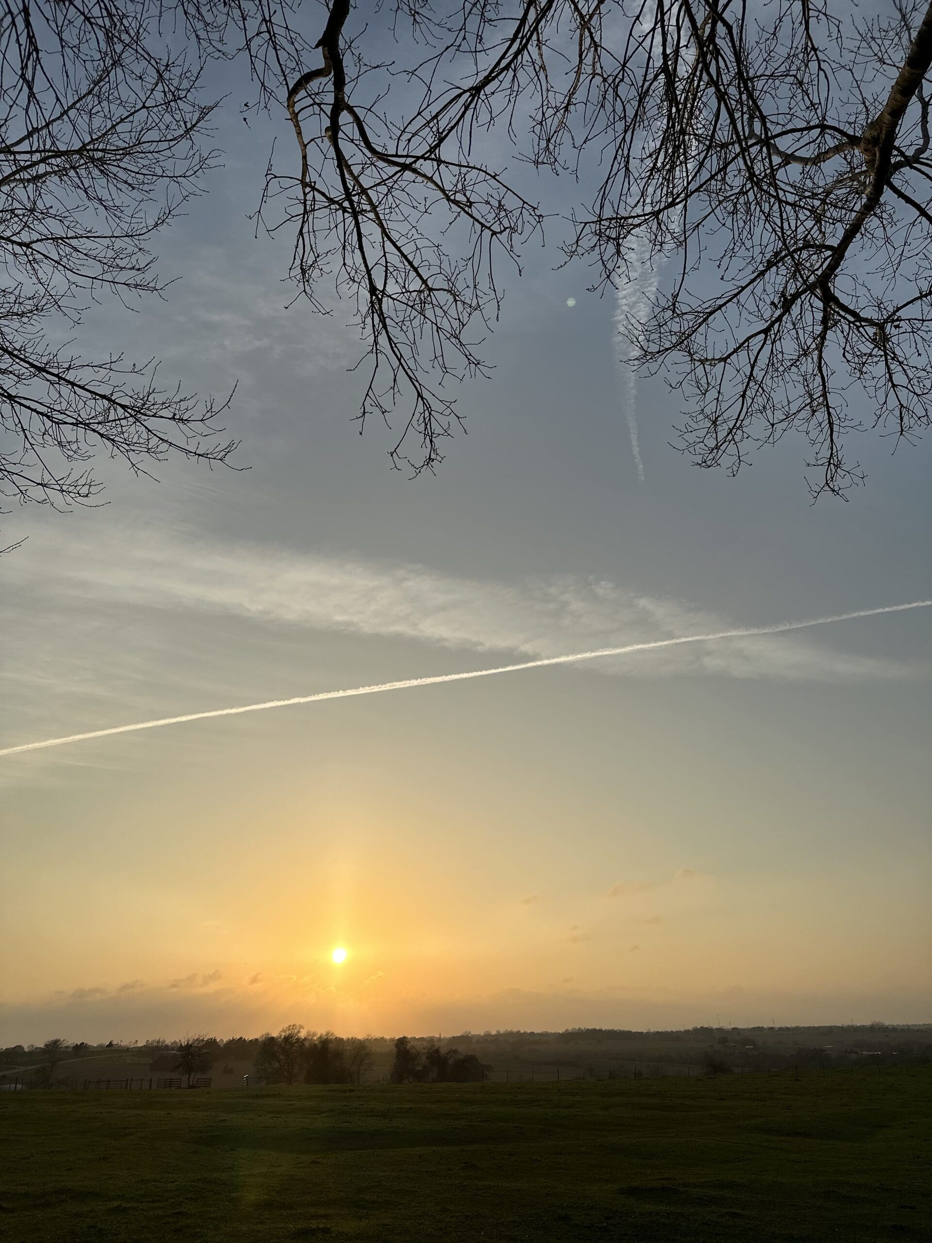 BA48BC38-CB4B-43F5-AB6E-F2F87D8EED7B