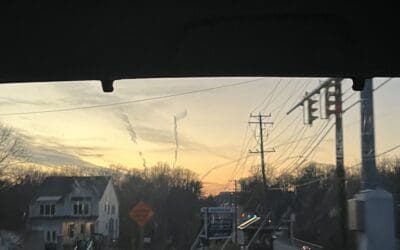 Evening in Fairfax, VA