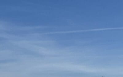 Everyday here in Florida