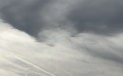 Sunday Feb 5 in the evening