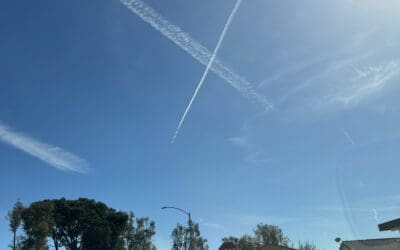 X marks the Spot