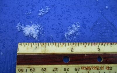 Fairfax, VA 3/4″ ‘snowflakes’ fall after 80F weather 2 days ago (2-25-23)