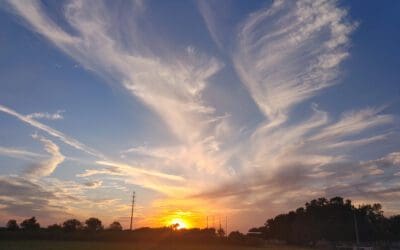 Southwest Louisiana has constant chemtrails.