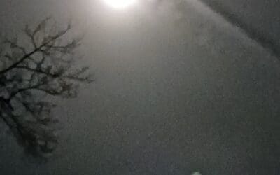 While we sleep in SW MICHIGAN