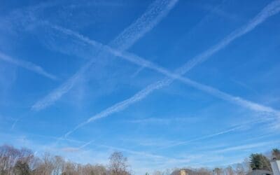 Spraying Asheville NC 3/23/23