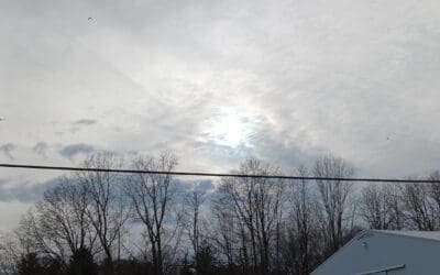 Michigan daily – Crimes against humanity!