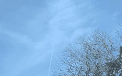 March 29 Patchogue 5:30pm