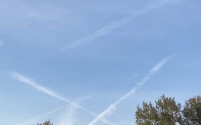 Florida late afternoon