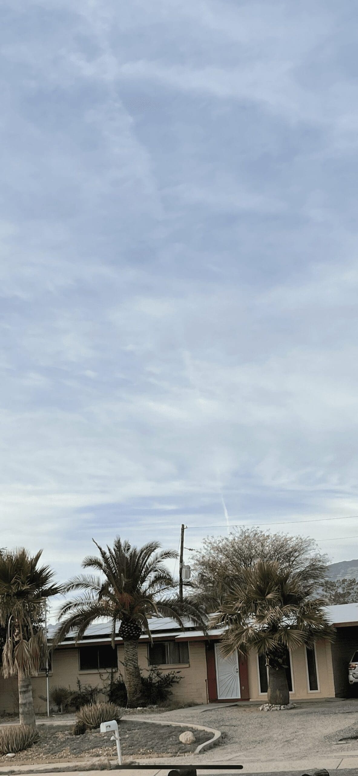 911CE962-E66F-4175-A962-1D1A1AF63CE3