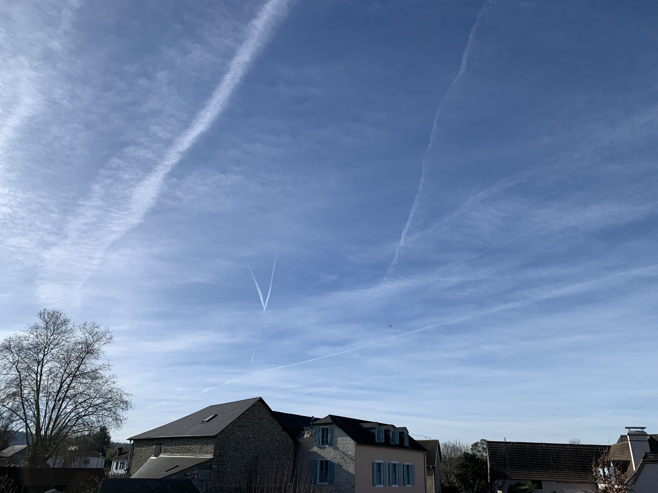 943A914E-FB2C-46EF-92A5-8D16204D6B90