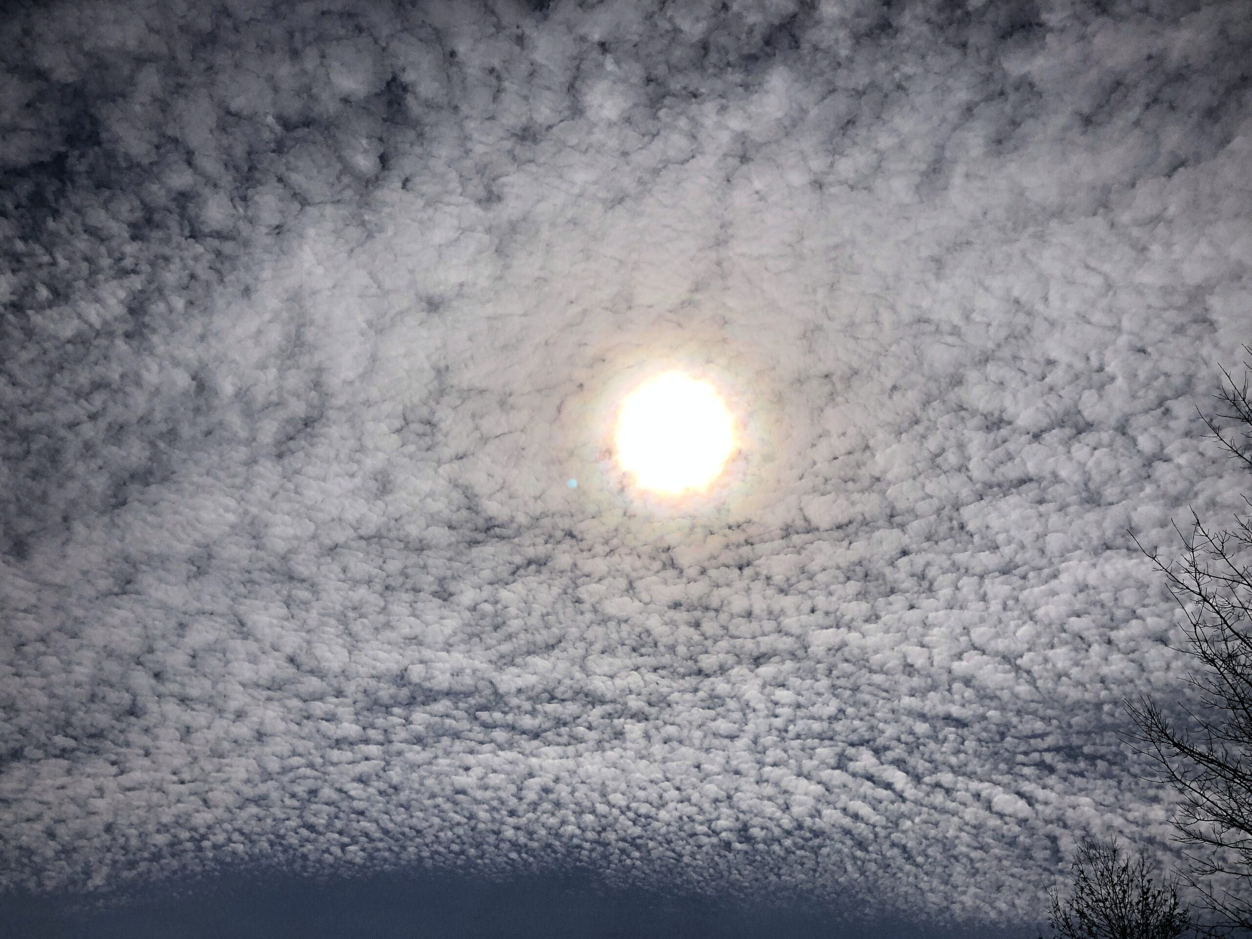 DE7AB797-2105-44F1-8749-C9E041DA6212