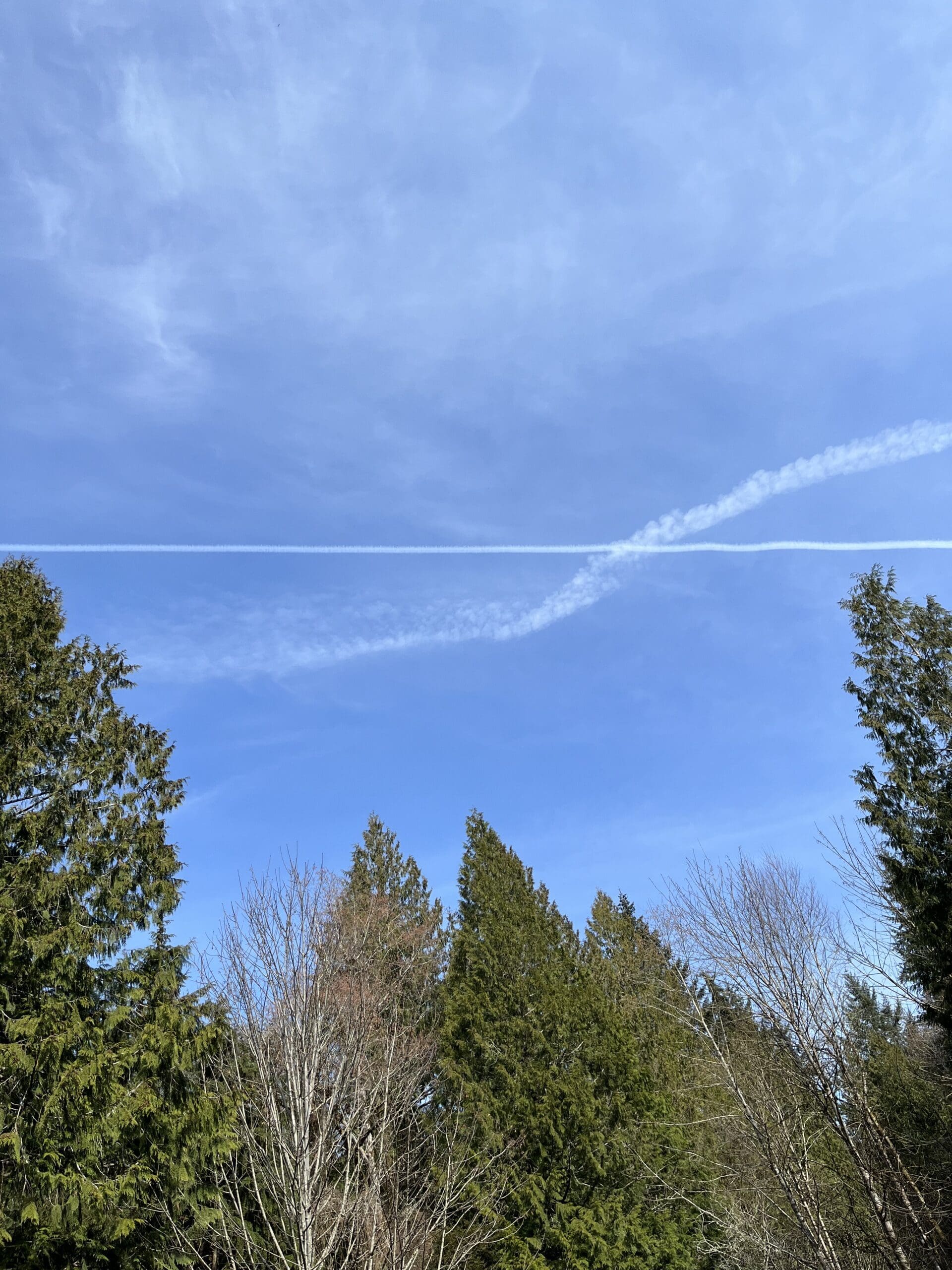 DED10BFC-164F-4E3B-B78B-7E5F99790280