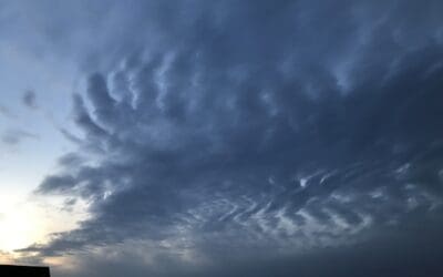 SE Texas after spraying all day