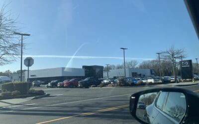 Straight Trail Medford, LI, New York