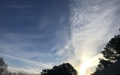 Crimes against humanity  in South Alabama