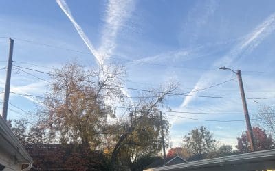 They’re at it again…as usual