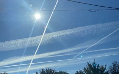 Over prime potato country