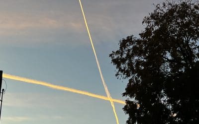 DFW & Suburbs 12.6.2023