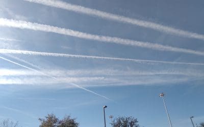 Spraying us like bugs