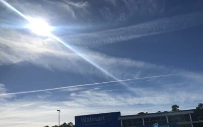 Crimes against humanity in South Alabama