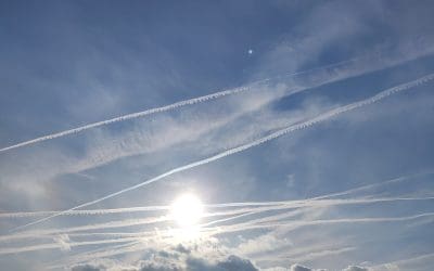 Serbia is destroyed by poisons.