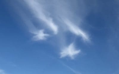 What in God’ name is this.