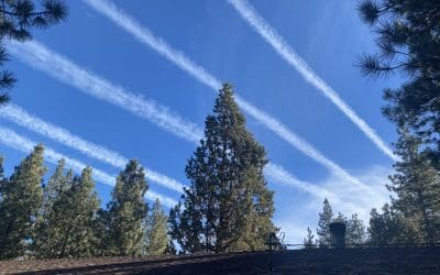 Poisoning By Your Government