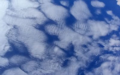 Northland, New Zealand 2023